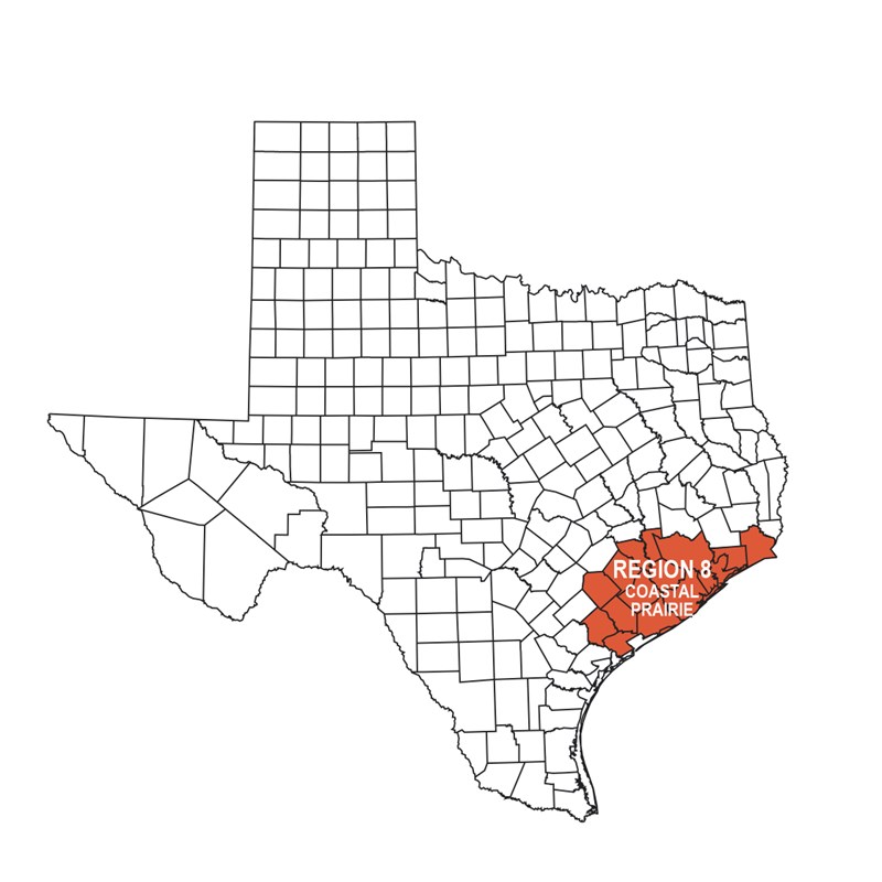 Texas Regions Texas Ornithological Society